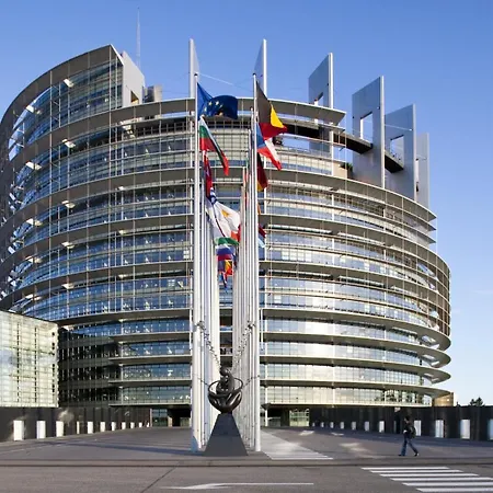 Apartmán 25 M2 Tour Black Swans Centre Tram C Et E Direct Parlement Europeen A 15 Minutes Arrivee 24 Sur 24 *